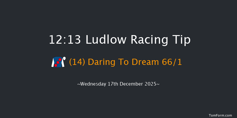 Ludlow 12:13 (Class 4) 15f Wed 3rd Dec 2025