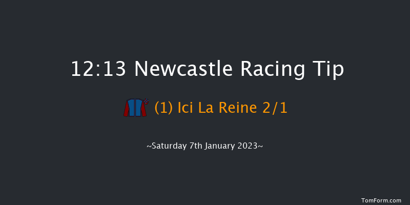 Newcastle 12:13 Stakes (Class 5) 16f Wed 4th Jan 2023