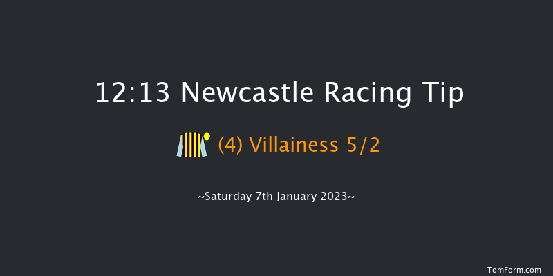 Newcastle 12:13 Stakes (Class 5) 16f Wed 4th Jan 2023