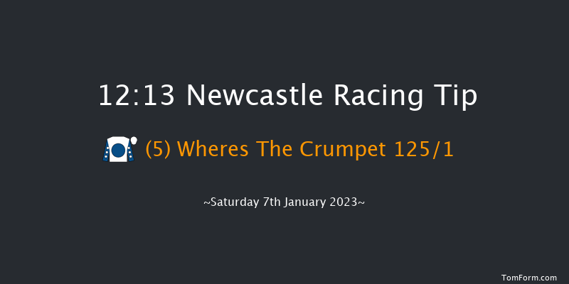 Newcastle 12:13 Stakes (Class 5) 16f Wed 4th Jan 2023