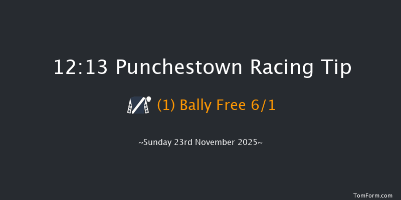 Punchestown 12:13 21f Sat 22nd Nov 2025