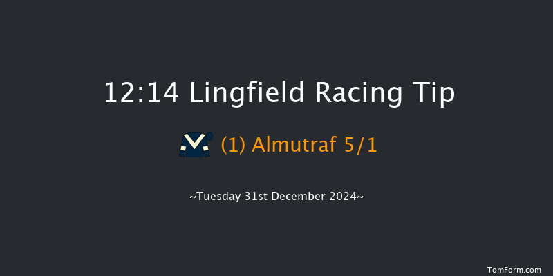 Lingfield  12:14 Stakes (Class 5) 7f Sun 22nd Dec 2024