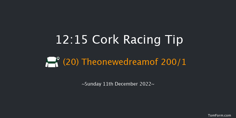 Cork 12:15 Maiden Hurdle 17f Sun 20th Nov 2022