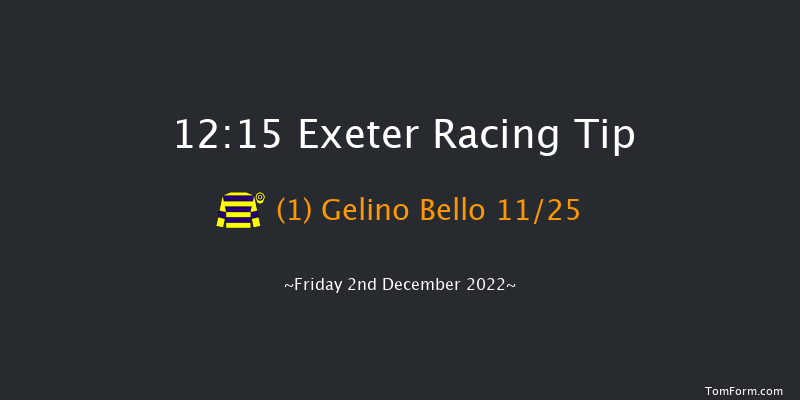 Exeter 12:15 Maiden Chase (Class 2) 24f Sun 20th Nov 2022