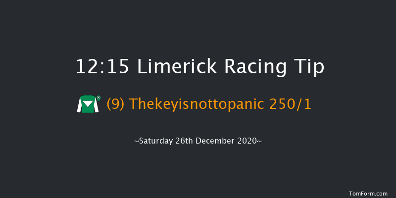 Geary's Garage Kilmeedy 3-y-o Maiden Hurdle Limerick 12:15 Maiden Hurdle 16f Tue 1st Dec 2020