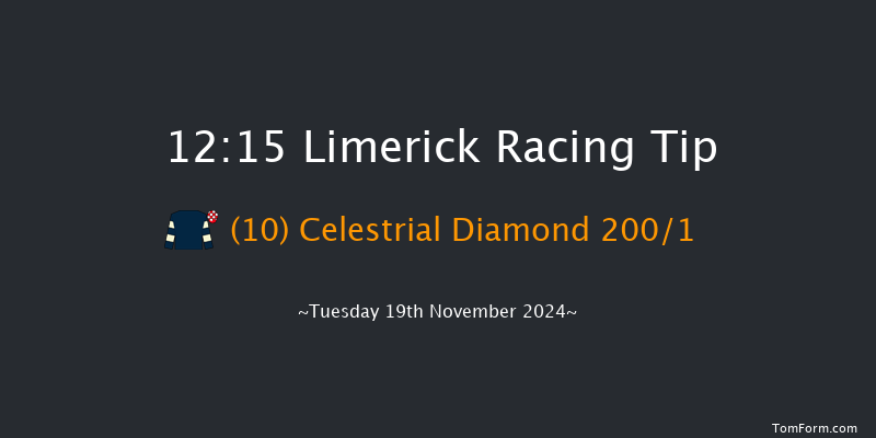 Limerick  12:15 Maiden Hurdle 19f Sun 20th Oct 2024