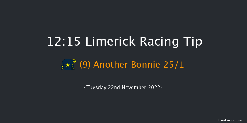Limerick 12:15 Maiden Hurdle 19f Sun 23rd Oct 2022