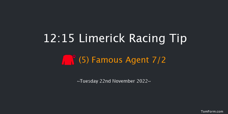 Limerick 12:15 Maiden Hurdle 19f Sun 23rd Oct 2022