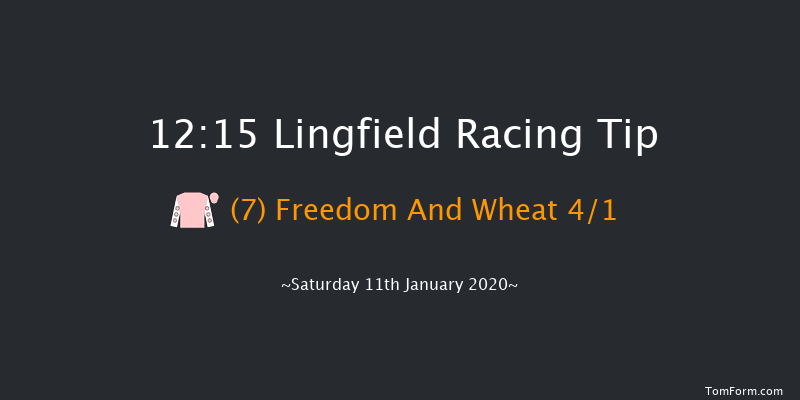 Lingfield 12:15 Handicap (Class 6) 8f Fri 10th Jan 2020