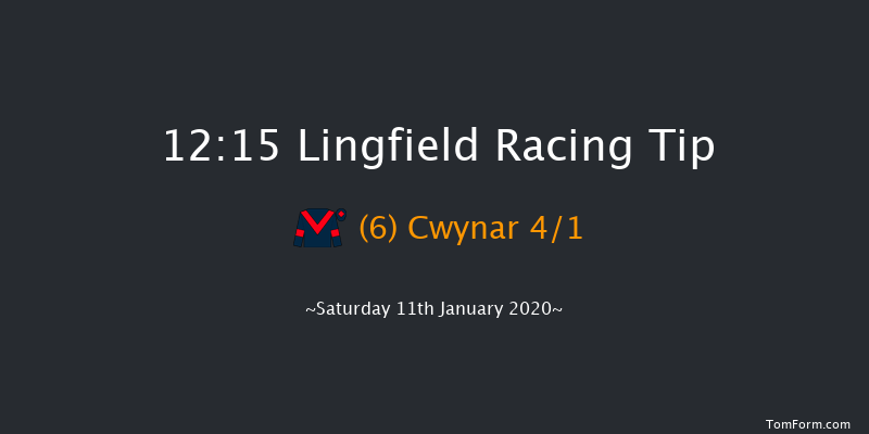 Lingfield 12:15 Handicap (Class 6) 8f Fri 10th Jan 2020