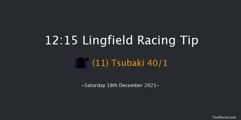 Lingfield 12:15 Stakes (Class 5) 8f Wed 15th Dec 2021