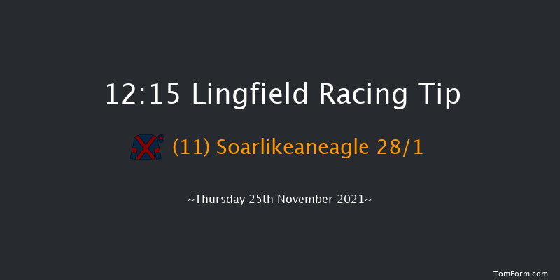 Lingfield 12:15 Handicap Hurdle (Class 5) 23f Sat 20th Nov 2021