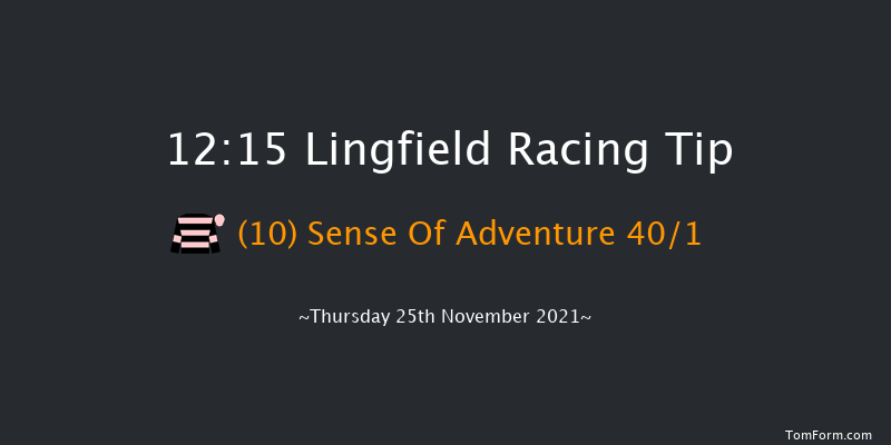 Lingfield 12:15 Handicap Hurdle (Class 5) 23f Sat 20th Nov 2021