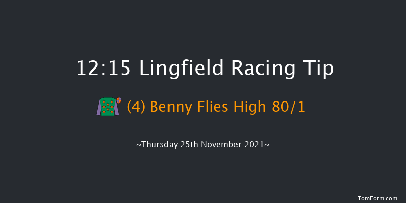 Lingfield 12:15 Handicap Hurdle (Class 5) 23f Sat 20th Nov 2021