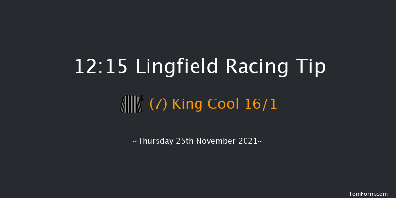 Lingfield 12:15 Handicap Hurdle (Class 5) 23f Sat 20th Nov 2021