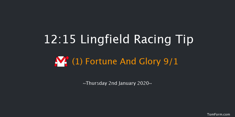 Lingfield 12:15 Handicap (Class 5) 8f Tue 31st Dec 2019
