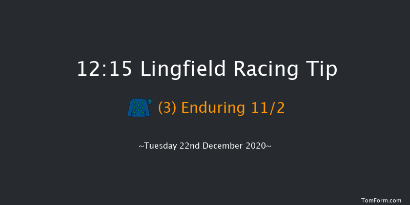 Get Your Ladbrokes Daily Odds Boost Nursery Lingfield 12:15 Handicap (Class 4) 6f Mon 21st Dec 2020