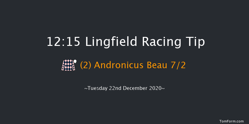 Get Your Ladbrokes Daily Odds Boost Nursery Lingfield 12:15 Handicap (Class 4) 6f Mon 21st Dec 2020
