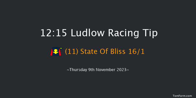 Ludlow 12:15 Handicap Hurdle (Class 4) 21f Thu 26th Oct 2023
