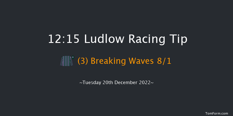 Ludlow 12:15 Handicap Hurdle (Class 4) 21f Wed 30th Nov 2022