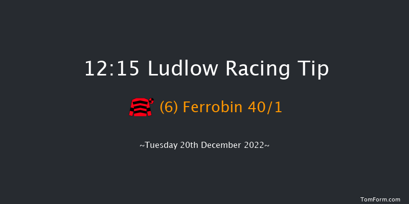Ludlow 12:15 Handicap Hurdle (Class 4) 21f Wed 30th Nov 2022