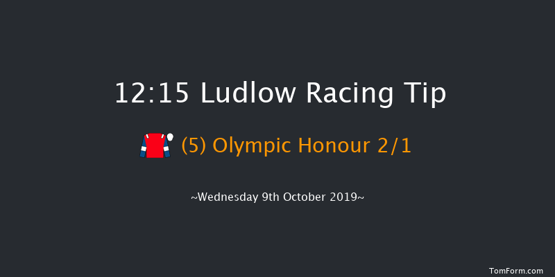 Ludlow 12:15 Maiden Hurdle (Class 4) 16f Thu 1st Jan 1970