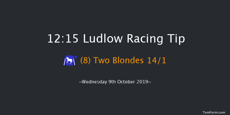 Ludlow 12:15 Maiden Hurdle (Class 4) 16f Thu 1st Jan 1970