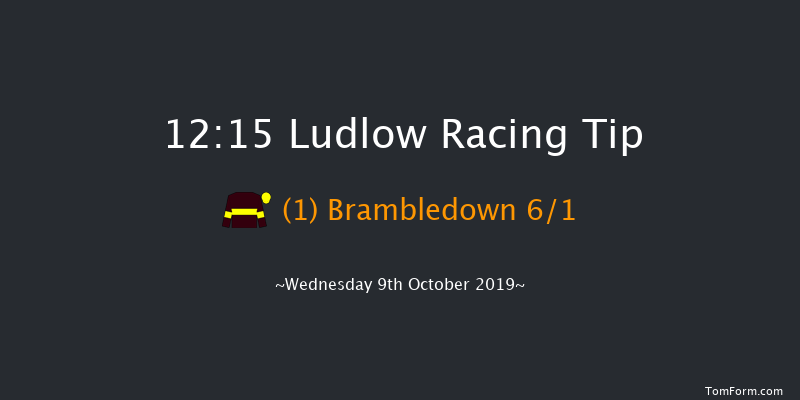 Ludlow 12:15 Maiden Hurdle (Class 4) 16f Thu 1st Jan 1970