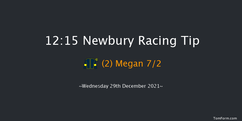 Newbury 12:15 Handicap Hurdle (Class 3) 16f Wed 15th Dec 2021