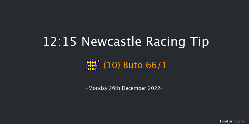 Newcastle 12:15 Handicap Hurdle (Class 5) 20f Tue 20th Dec 2022