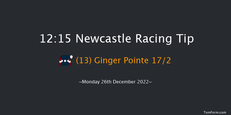 Newcastle 12:15 Handicap Hurdle (Class 5) 20f Tue 20th Dec 2022
