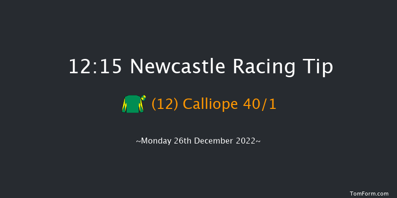Newcastle 12:15 Handicap Hurdle (Class 5) 20f Tue 20th Dec 2022