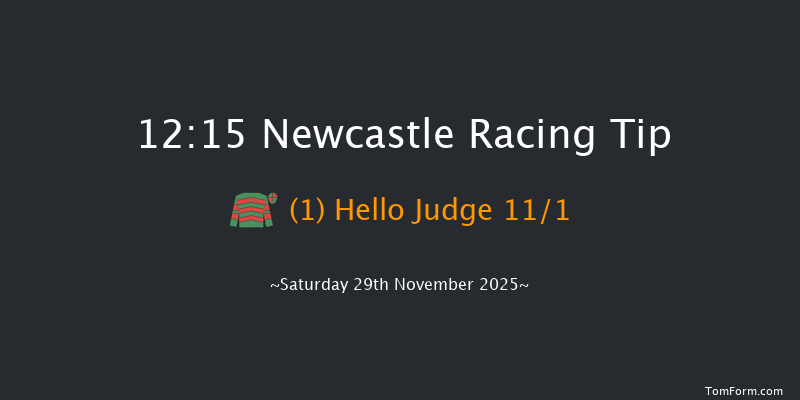 Newcastle 12:15 (Class 4) 20f Thu 27th Nov 2025