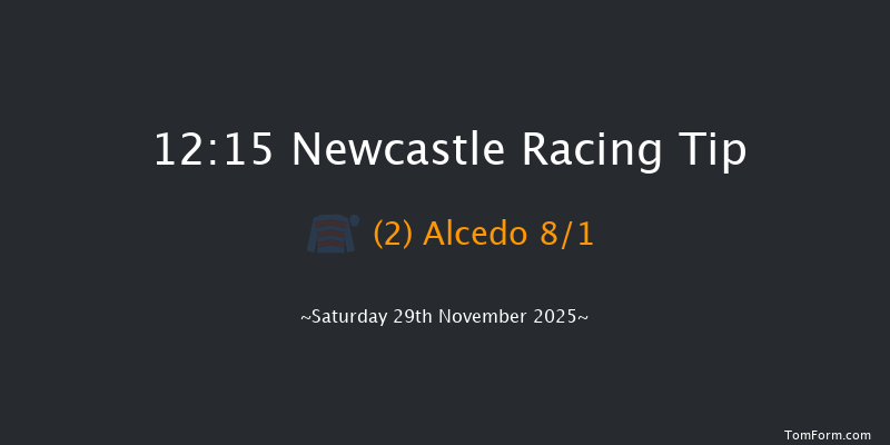 Newcastle 12:15 (Class 4) 20f Thu 27th Nov 2025