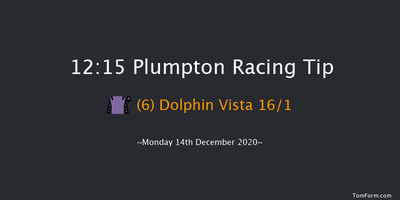 Theo's Charm Memorial Novices' Hurdle (GBB Race) Plumpton 12:15 Novices Hurdle (Class 4) 16f Mon 7th Dec 2020