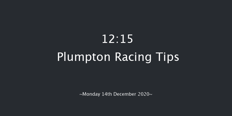 Theo's Charm Memorial Novices' Hurdle (GBB Race) Plumpton 12:15 Novices Hurdle (Class 4) 16f Mon 7th Dec 2020