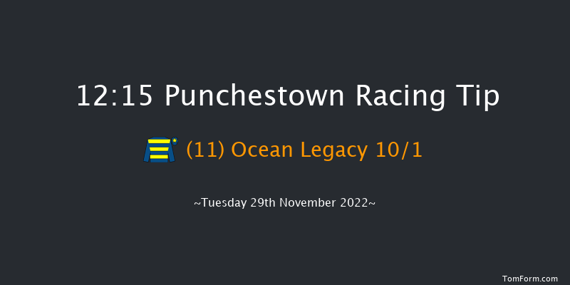 Punchestown 12:15 Handicap Chase 26f Sun 20th Nov 2022