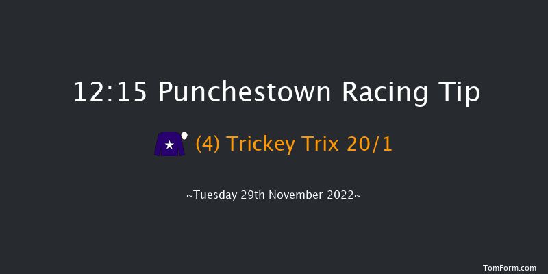 Punchestown 12:15 Handicap Chase 26f Sun 20th Nov 2022