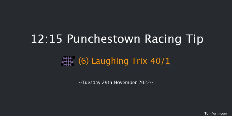 Punchestown 12:15 Handicap Chase 26f Sun 20th Nov 2022