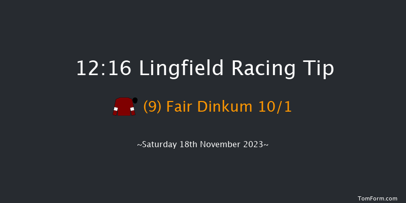 Lingfield 12:16 Handicap (Class 6) 16f Tue 14th Nov 2023