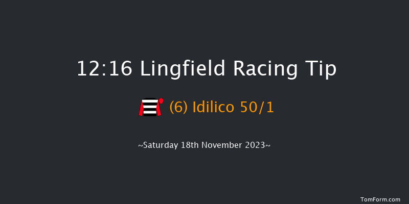 Lingfield 12:16 Handicap (Class 6) 16f Tue 14th Nov 2023