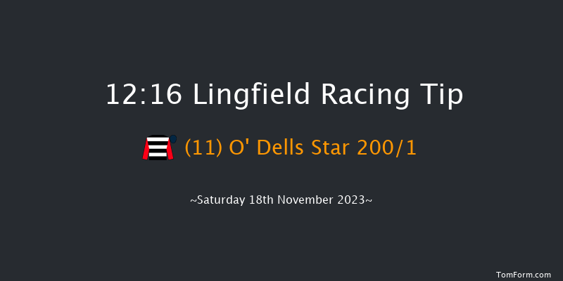 Lingfield 12:16 Handicap (Class 6) 16f Tue 14th Nov 2023