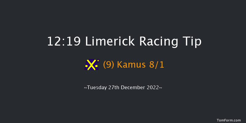 Limerick 12:19 Maiden Chase 18f Mon 26th Dec 2022