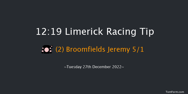 Limerick 12:19 Maiden Chase 18f Mon 26th Dec 2022