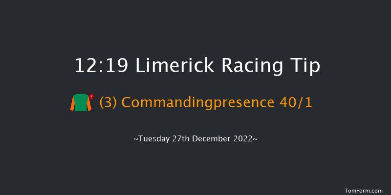 Limerick 12:19 Maiden Chase 18f Mon 26th Dec 2022