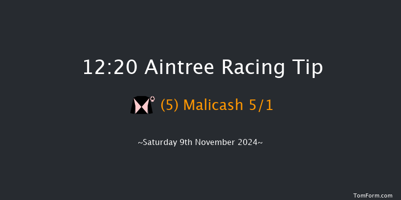 Aintree  12:20 Maiden Hurdle (Class 4) 20f Sun 27th Oct 2024