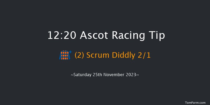 Ascot 12:20 Handicap Chase (Class 3) 24f Fri 24th Nov 2023