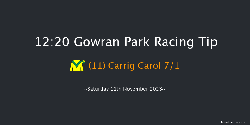 Gowran Park 12:20 Maiden Chase 20f Tue 17th Oct 2023