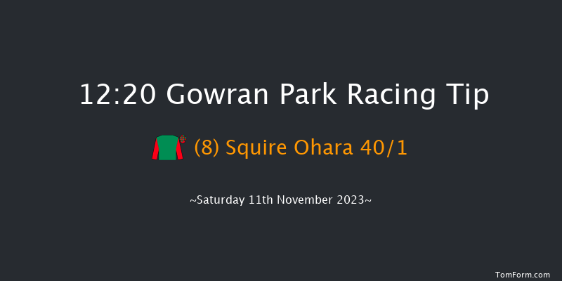 Gowran Park 12:20 Maiden Chase 20f Tue 17th Oct 2023