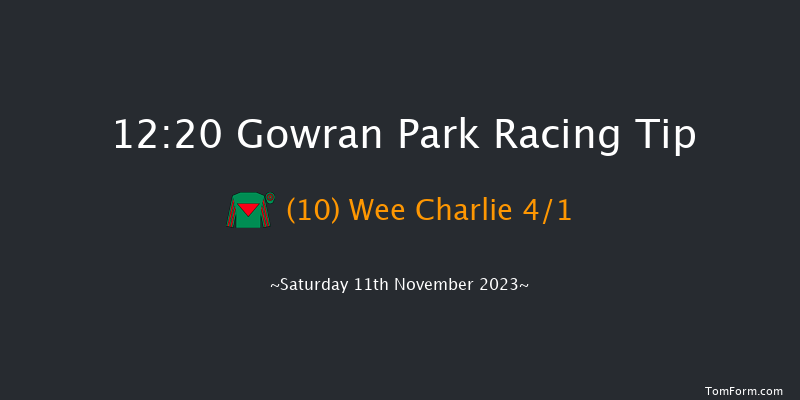 Gowran Park 12:20 Maiden Chase 20f Tue 17th Oct 2023